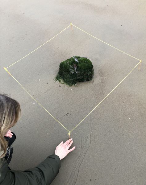 Saskia Van der Gucht