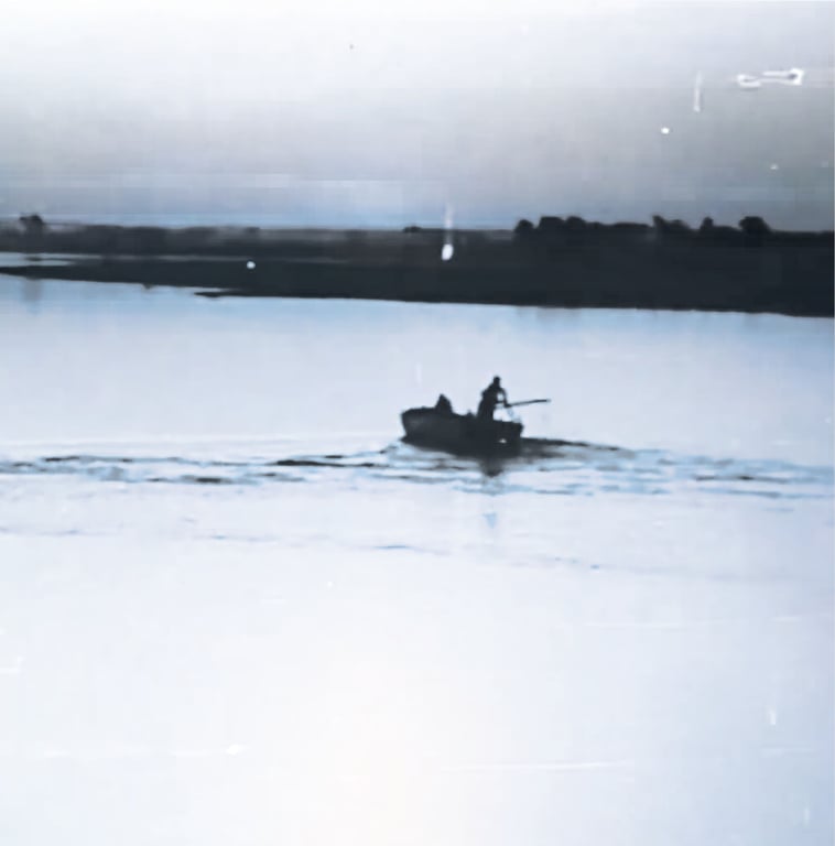 Thumbnail for Walking the Euphrates: Water Witness of the River and the Marshes | Joud Toamah & Ameneh Solati | Talks