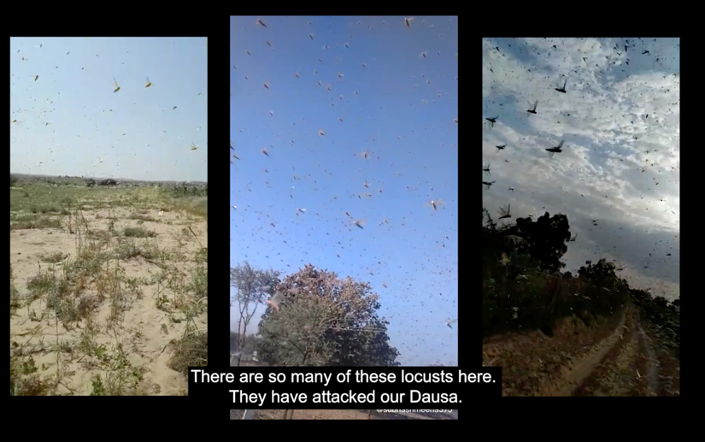 Thumbnail for Beyond the national frame: scenes from the Indo-Pak border | Natasha Raheja | Keynote lecture