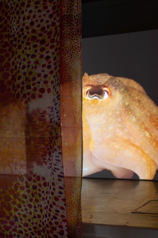 Thumbnail for Sea Through Skin 