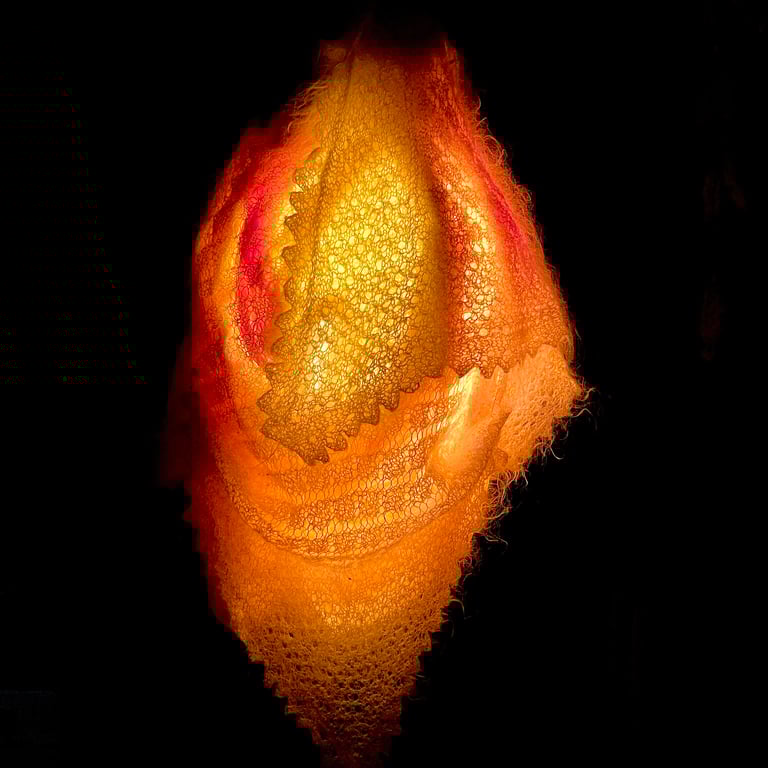 Thumbnail for Caring for 