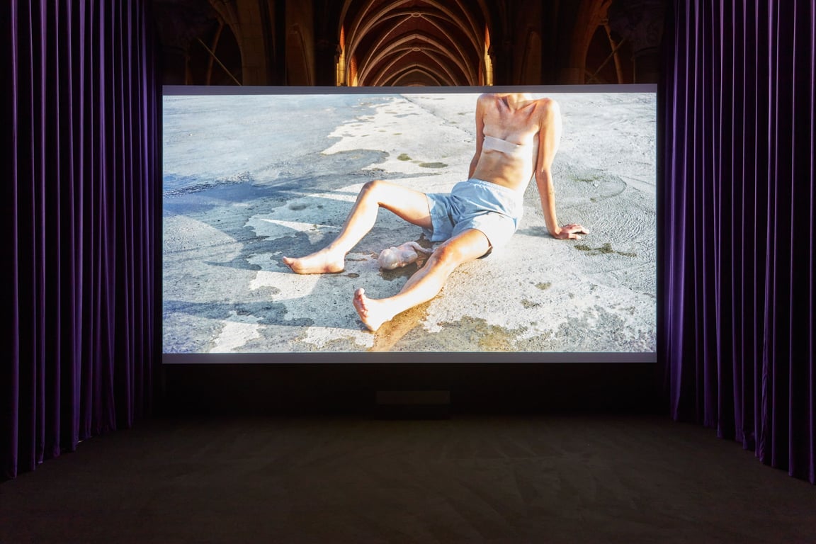 Focus Program: Rights of Nature