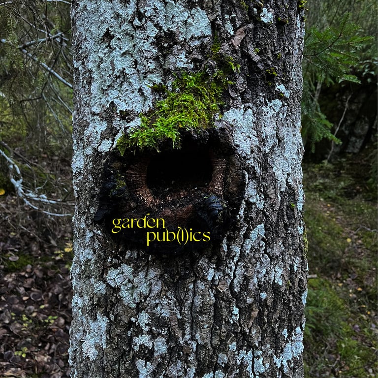 ADMA @ Frans Masereel @ Morpho