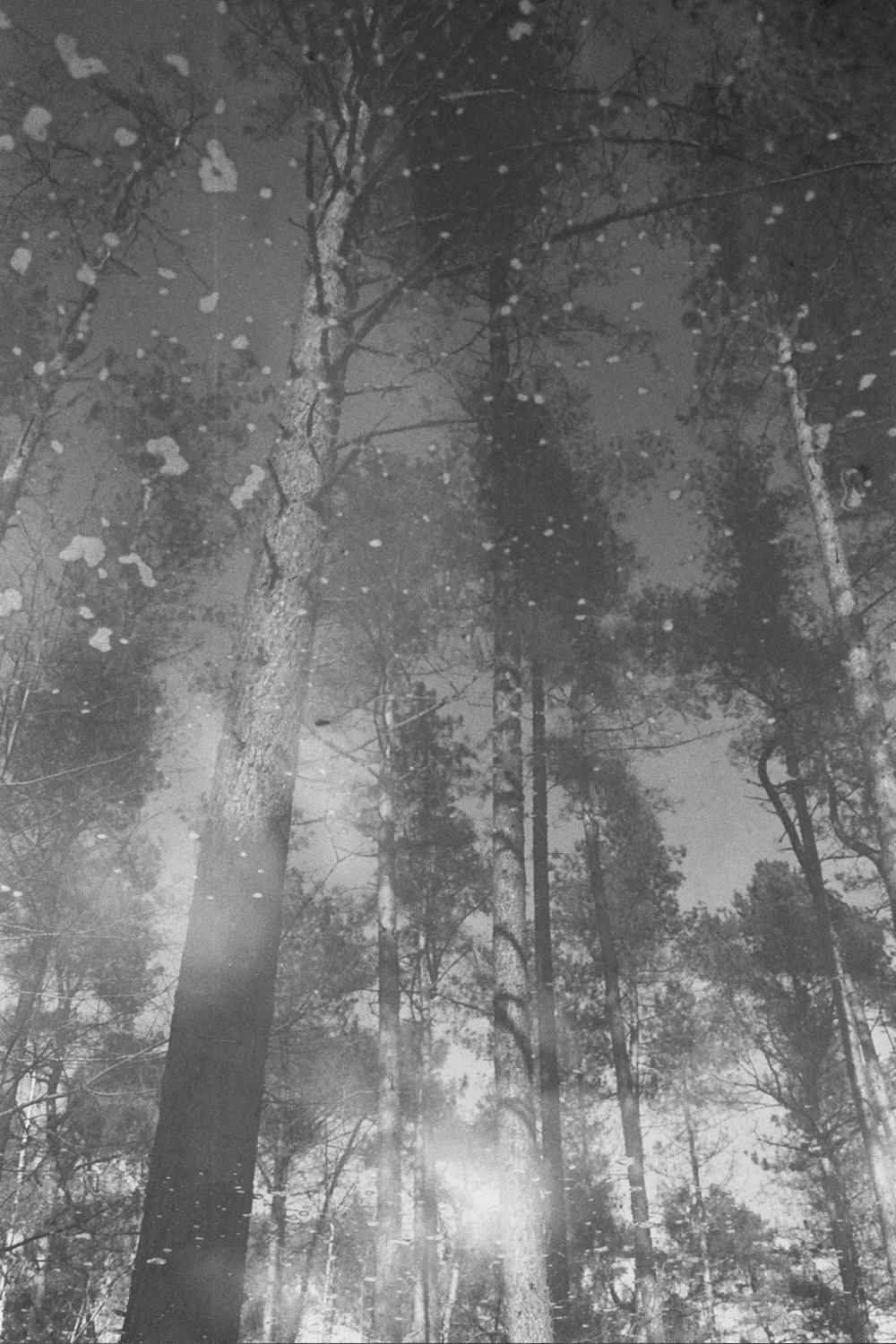 Stilstaan bij de boom.