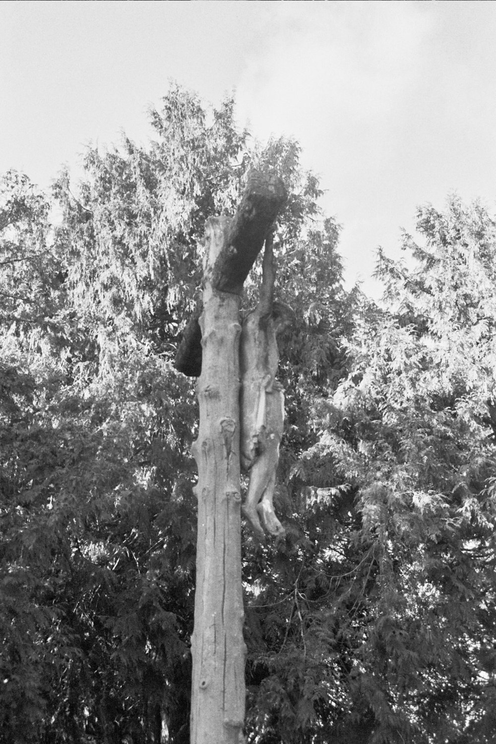 Stilstaan bij de boom.