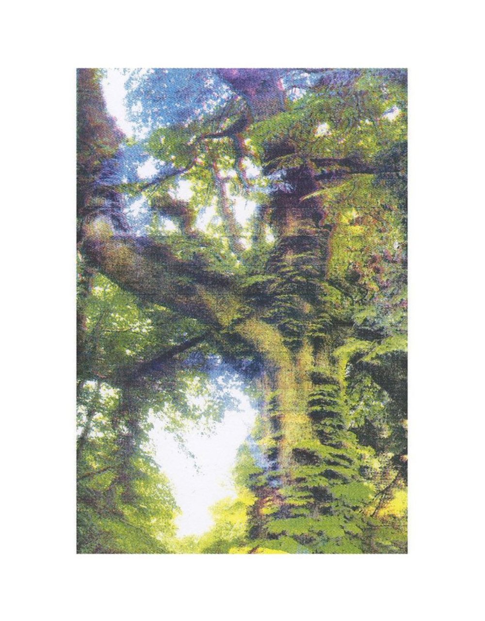 Stilstaan bij de boom.