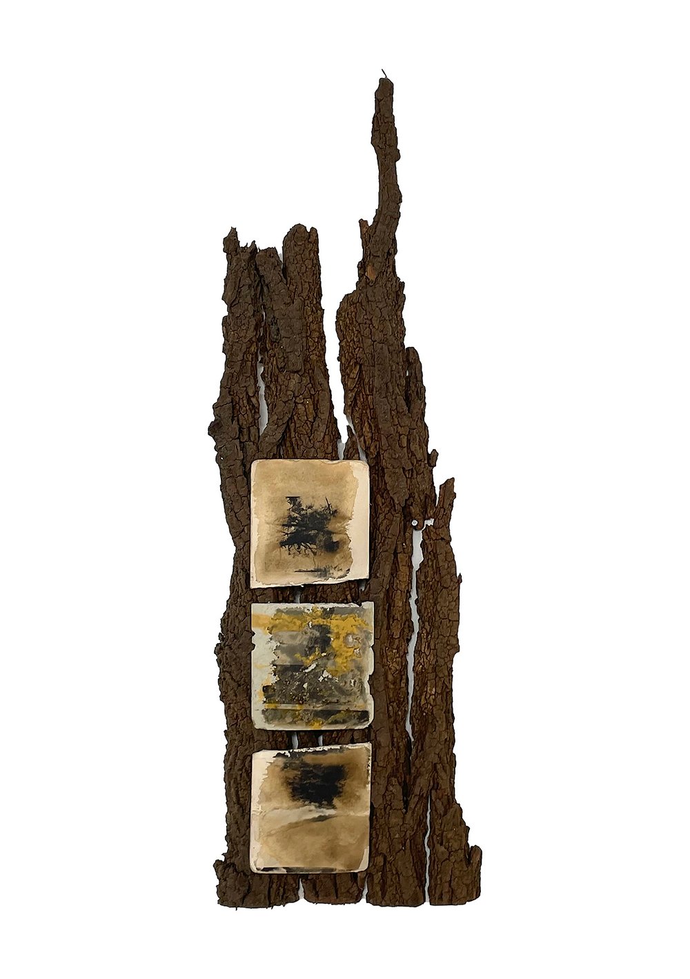 Stilstaan bij de boom.