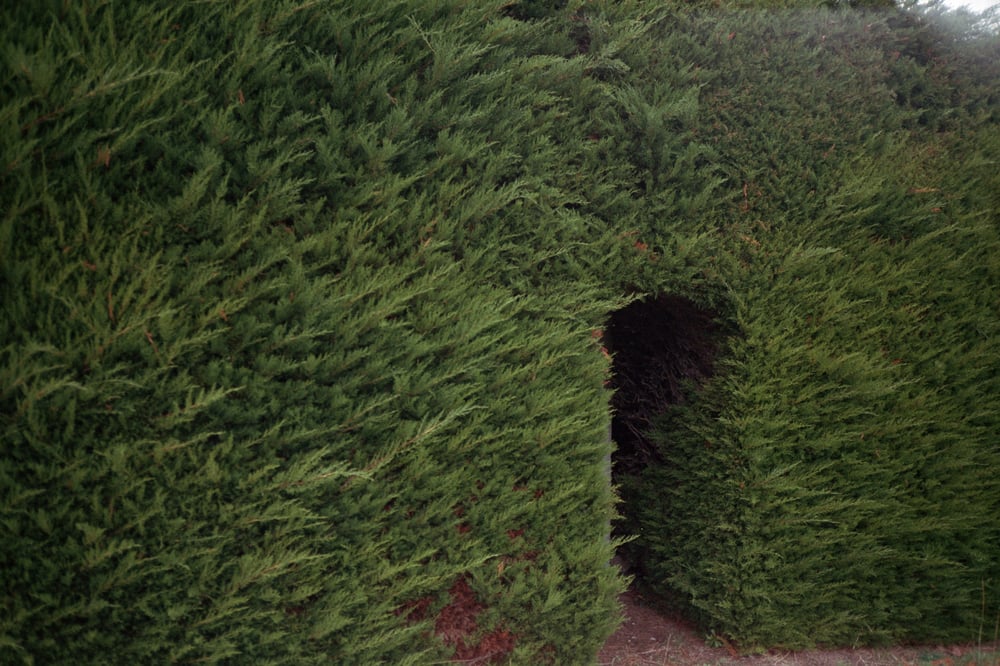 shifting from one foot to another