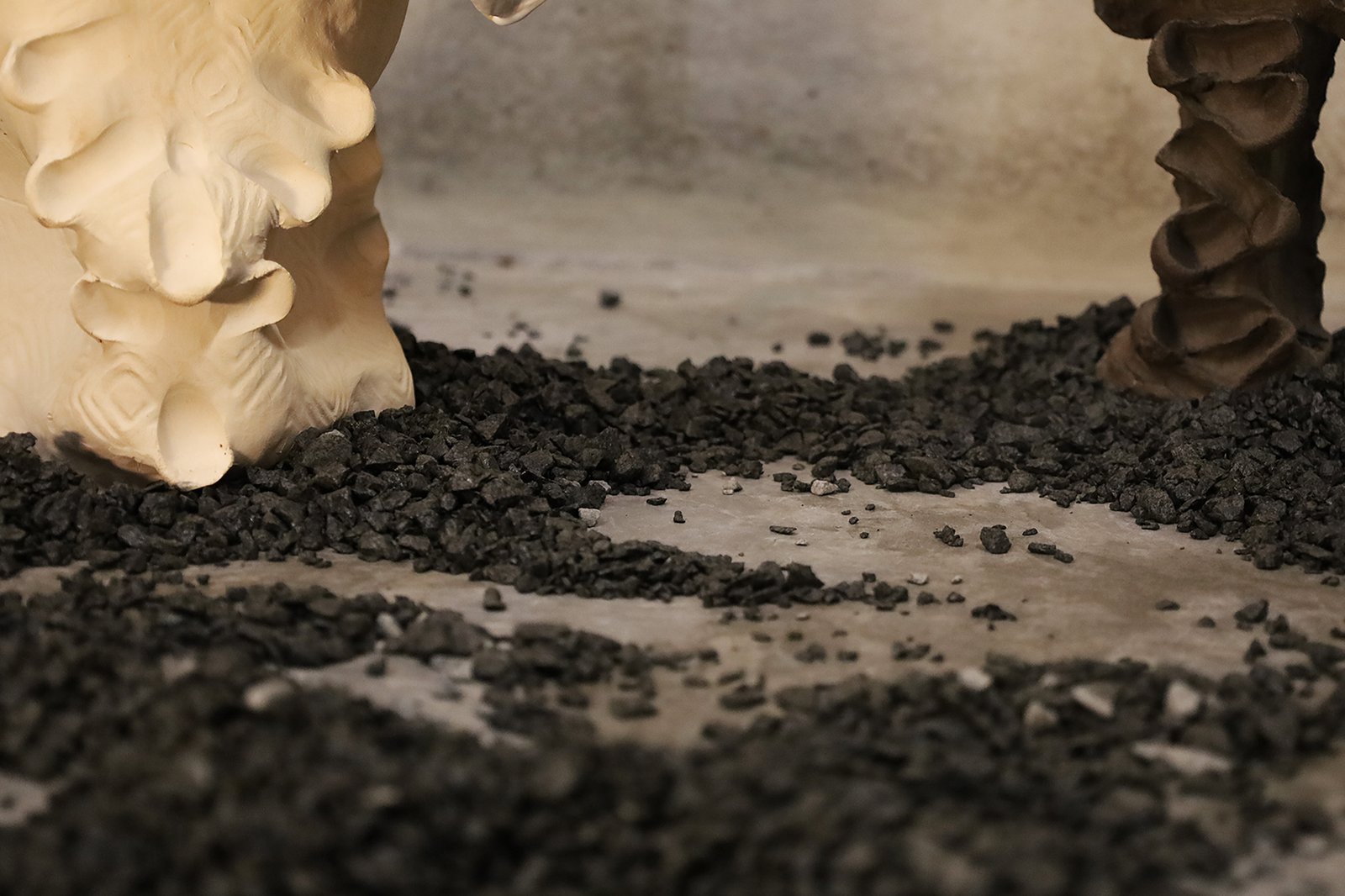 Catharsis de emovere