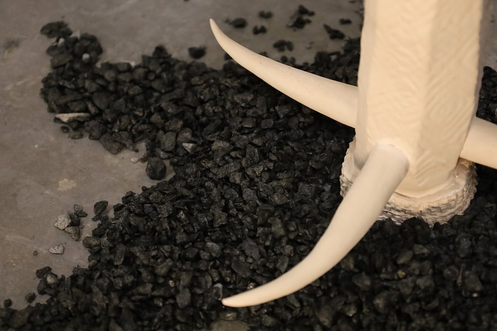 Catharsis de emovere