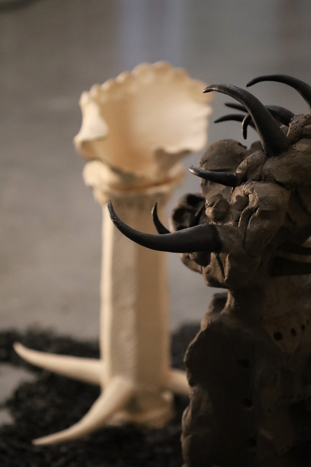 Catharsis de emovere