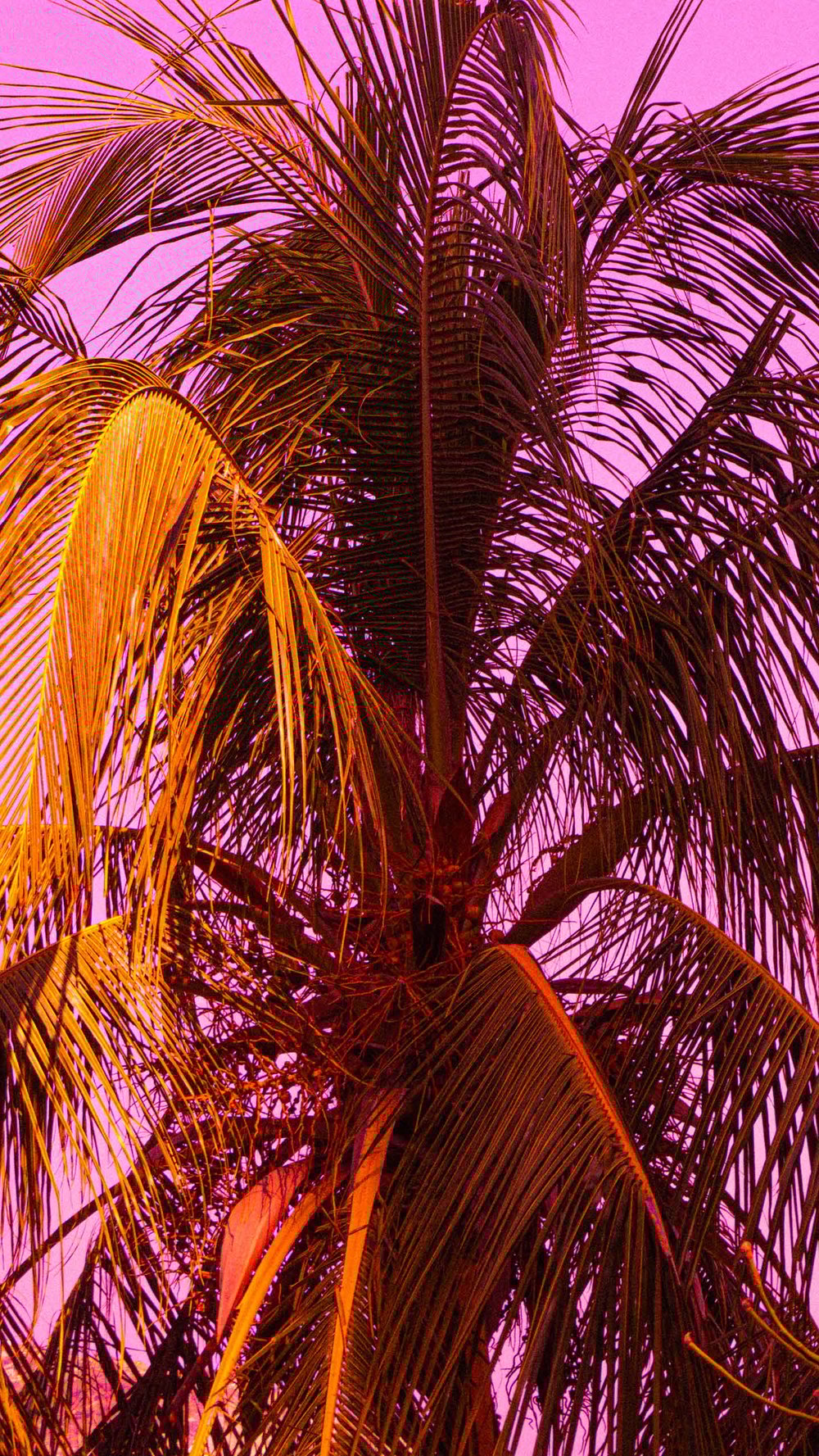 Op welke manier kunnen fotografie en grafisch ontwerp samen bijdragen aan een sterke merkidentiteit en de visuele aantrekkingskracht van interieurontwerpbedrijven vergroten?