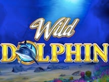 Wild Dolphin