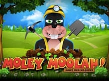Moley Moolah