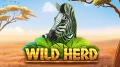 Wild Herd