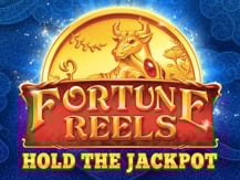 Fortune Reels