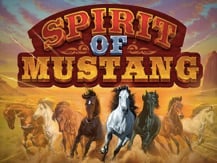 Spirit Of Mustang