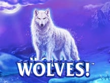 Wolves! Wolves! Wolves!