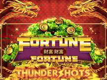 Fortune Fortune: Thundershots