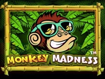 Monkey Madness