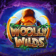 Woolly Wilds