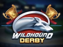 Wildhound Derby