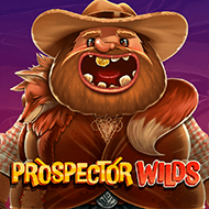 Prospector Wilds