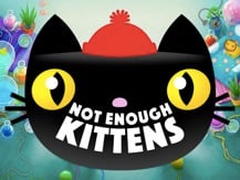 Not Enough Kittens