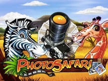 Photo Safari