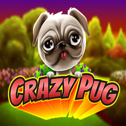 Crazy Pug