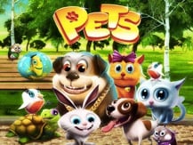 Pets