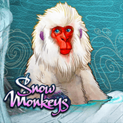 Snow Monkeys