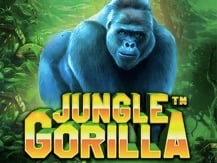 Jungle Gorilla