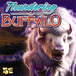 Thundering Buffalo