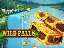 Wild Falls