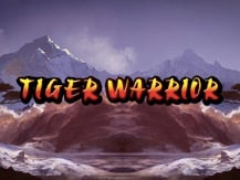 Tiger Warrior