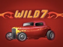 Wild 7