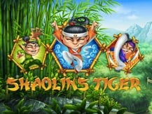 Shaolin's Tiger