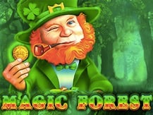 Magic Forest