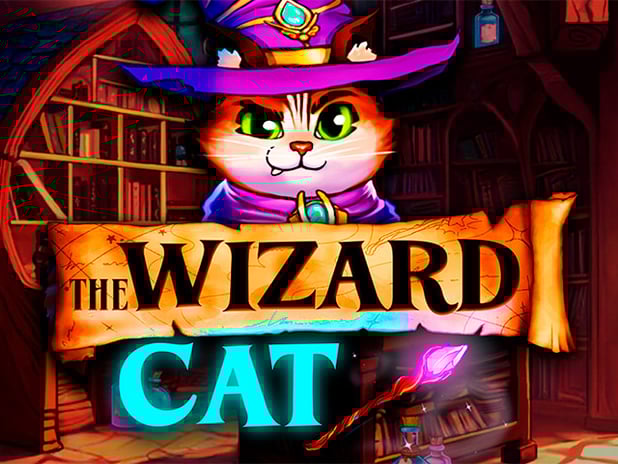 The Wizard Cat
