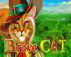 Brave Cat