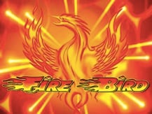 Fire Bird
