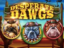 Desperate Dawgs