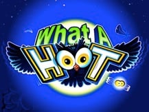 What A Hoot