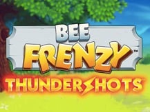 Bee Frenzy