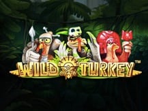 Wild Turkey