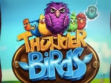 Power Zones: Thunder Birds