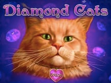Diamond Cats