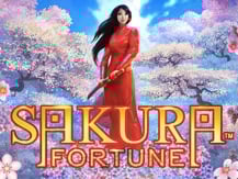 Sakura Fortune
