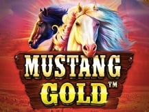 Mustang Gold